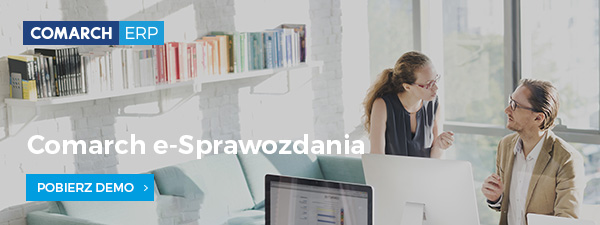 e-Sprawozdania